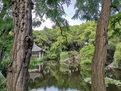 -叶家花园