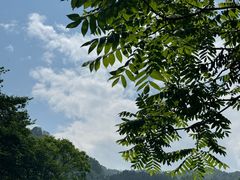 -龙窝子
