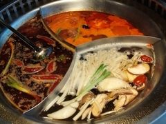 -辣伍鲜毛肚老火锅(元一店)