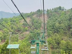 -磬锤峰森林公园