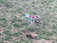 -黄河九曲第一湾