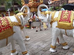 -西双版纳傣族园