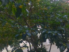 -昆山城市生态森林公园