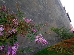 -东华门大街小区