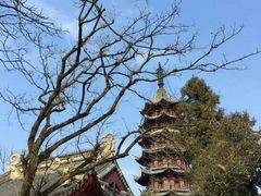 -灵岩山风景区
