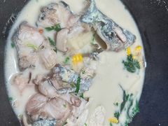 -鲜潭蒸汽石锅鱼(五道口购物中心店)