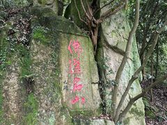 -普陀山风景区-佛顶山