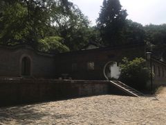 -镇江市南山风景名胜区竹林景区