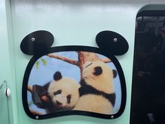 -蛙三泡椒牛蛙(万象城店)