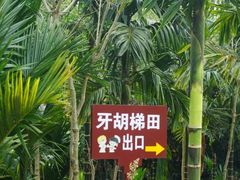 -牙胡梯田