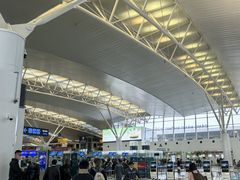 -河内内排国际机场