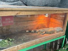 -鄂尔多斯野生动物园