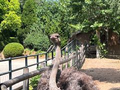 -大连森林动物园