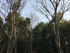 -苏州河梦清园环保主题公园