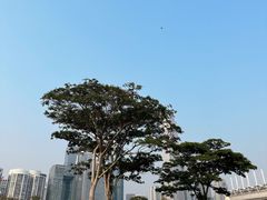 -二沙岛艺术公园