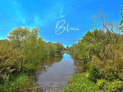 -溱湖国家湿地公园