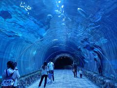 -华夏文旅海洋公园