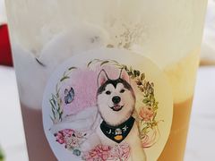 -Husky Go! 哈士奇体验馆·宠物咖啡厅狗咖
