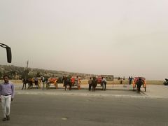 景区内马车-吉萨金字塔群