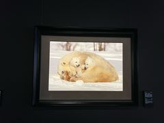 -罗红摄影艺术馆