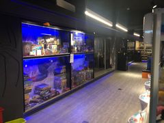 -Moss7Club 剧本杀桌游(inspark店)