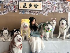 -星多哈·狗咖·拼豆·咖啡