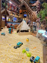 -卡通尼·Safari非洲探索乐园·生日会(金桥国际商业广场店)