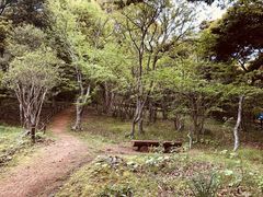 -汉拿树木园