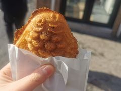 -西塔