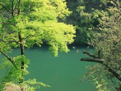 -阿哈湖国家湿地公园