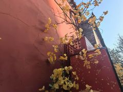 -潭柘寺景区