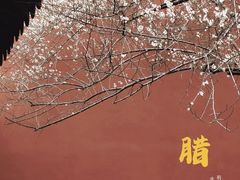 -钱王祠