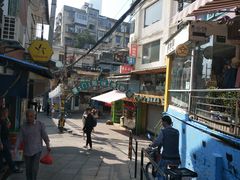 -猫咪博物馆(顶澳仔猫街店)