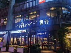 -MR鹅外