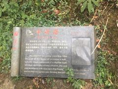 -雁荡山三折瀑景区