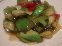 -金熊猫川菜餐厅