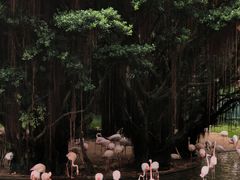 -九龙公园