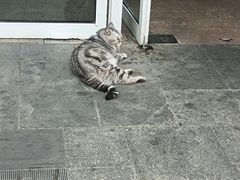 -时代奥城商业广场