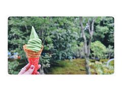 宇治抹茶冰淇淋-豆政(金閣寺境内売店)