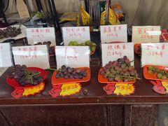 -马陆小张葡萄园农家乐