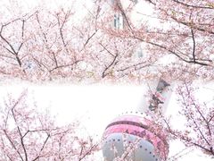 -陆家嘴中心绿地