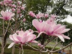 -一兆韦德健身(古美店)