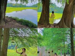 -南宁良凤江国家森林公园