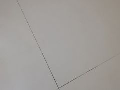 -巢爷老味(东方红店)