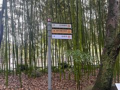 -兰亭风景区