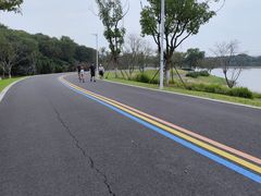 -羊山湖公园