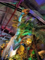 -恐龙探索乐园(磁器口店)