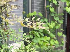 -YUNHE秐合· 雅致浙宴(西溪店)