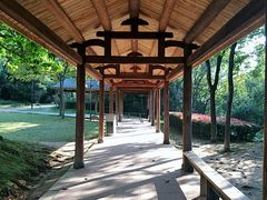 -金山公园