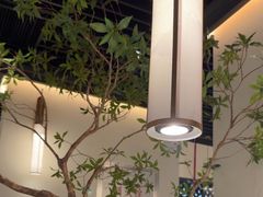-大榕树下顺德菜(融创茂店)
